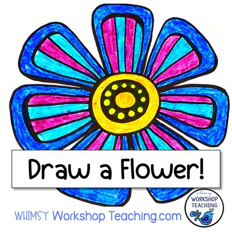 directed draw flowers